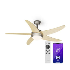 Bolero ventilateur de plafond 2 en 1 132 cm luminaire 55 W télécommande contrôle par application 2 sens de marche