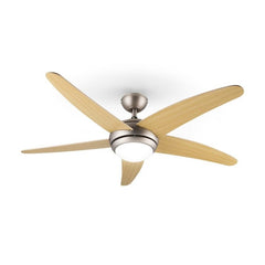 Bolero ventilateur de plafond 2-en-1 134 cm lampe 55 W pales érable télécommande