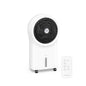 Rafraîchisseur d'air Whirlwind | 320 m³/h | 6 l | 30 m² | 2 packs de refroidissement | 3 modes | 60 W